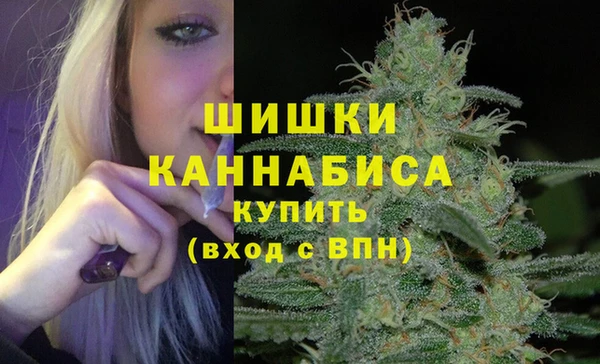 прущие крисы Верея