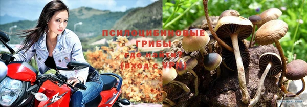 прущая мука Верхний Тагил