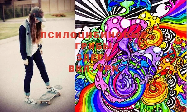 прущие крисы Верея