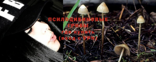 прущая мука Верхний Тагил