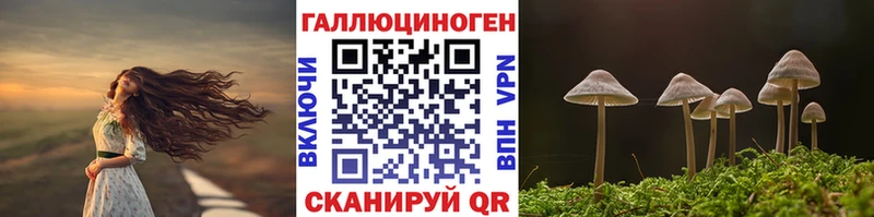 kraken вход  Сосногорск  Галлюциногенные грибы ЛСД 